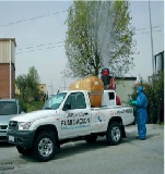 Plagas jardin prevenir